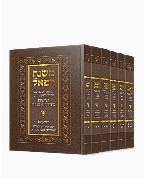 משנת-רפאל01