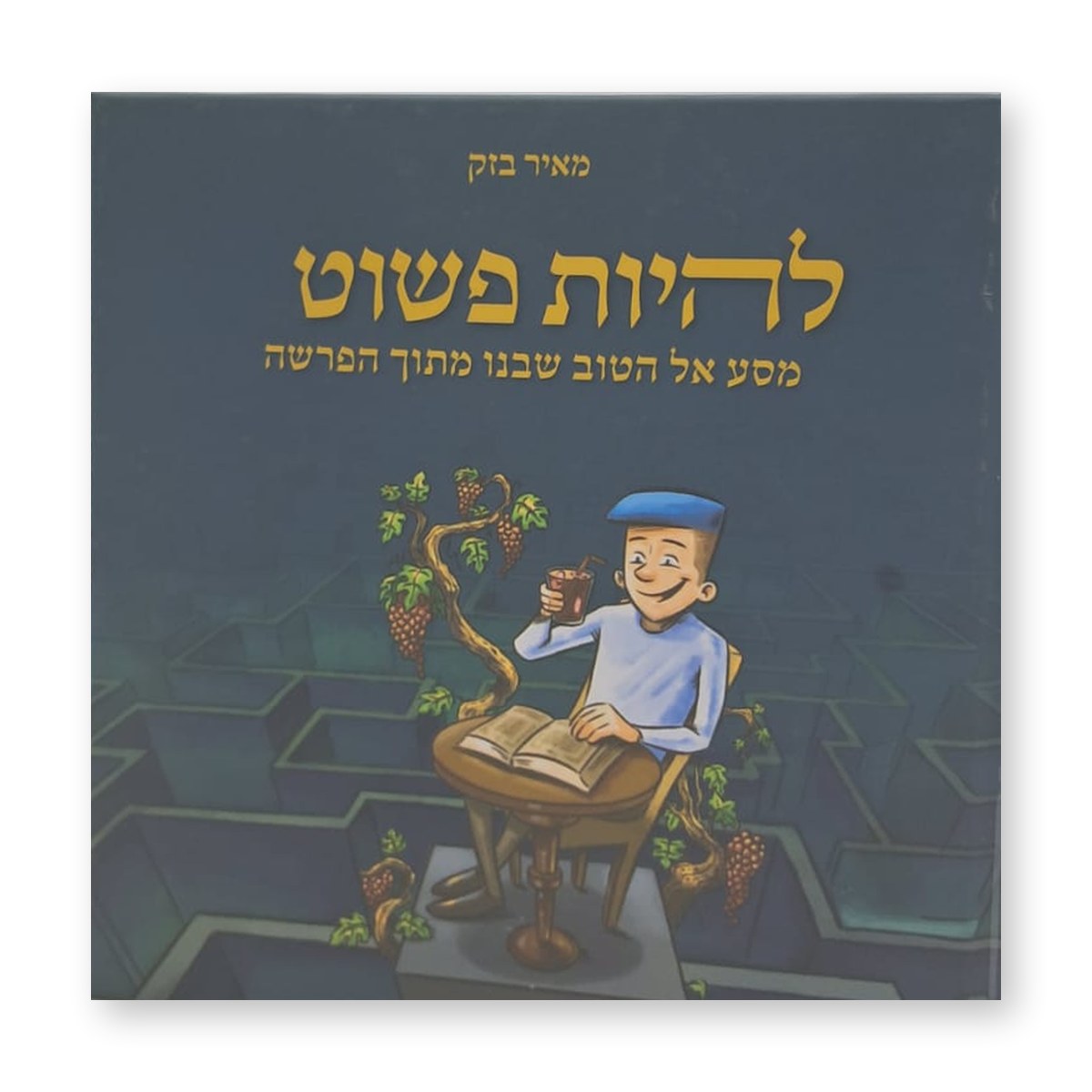 להיות פשוט – מאיר בזק